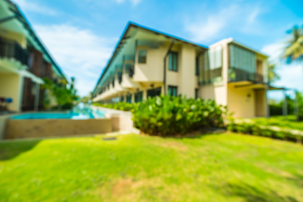 A Guide on How to Fix a Thinning Lawn