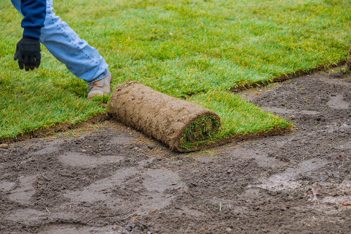 Avoid These Common Sod Installation Mistakes