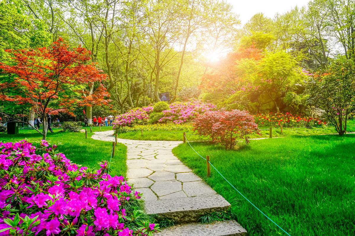 Garden Design