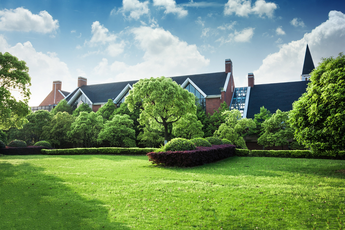 Tips for Maintaining Your Yard in a Drought