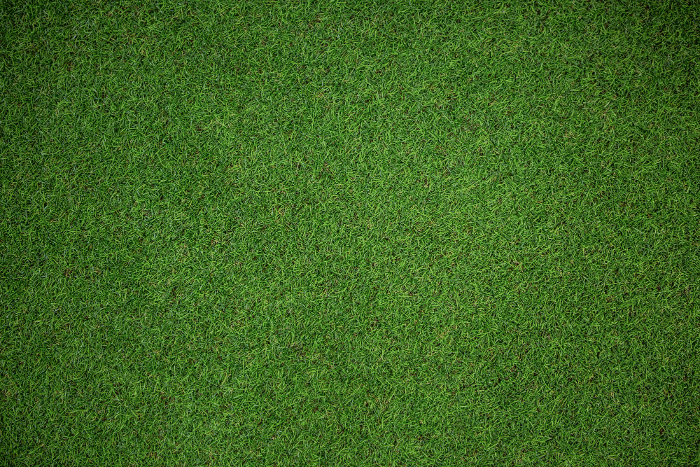 Tips for Artificial Grass Care and Maintenance