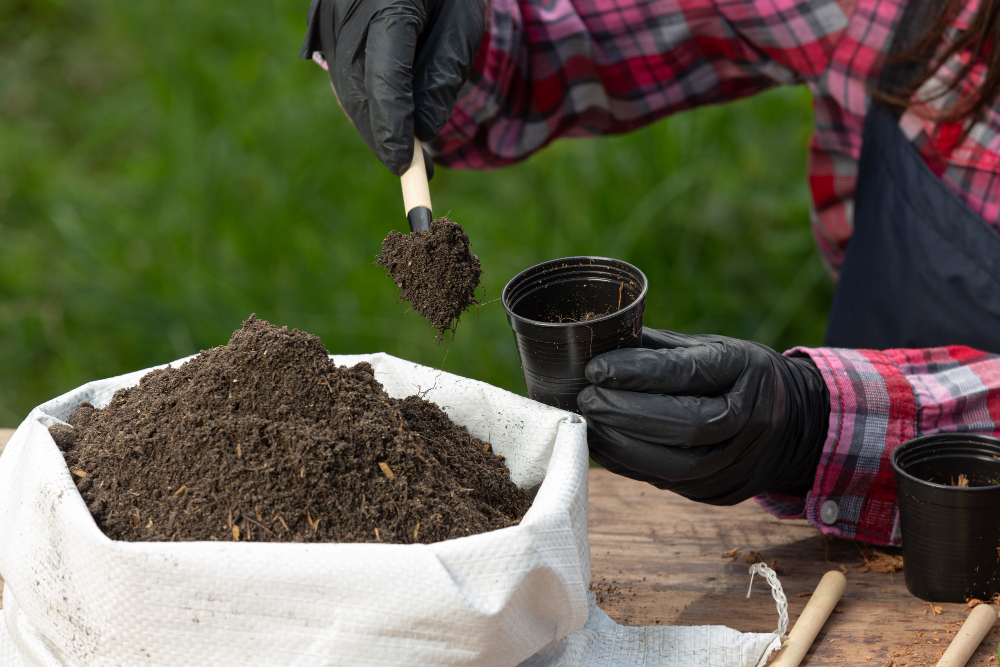 When is the Best Time to Fertilize Your Lawn?