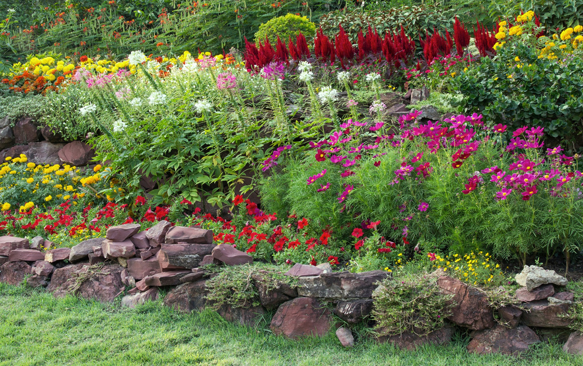 Landscaping with Perennial Plants