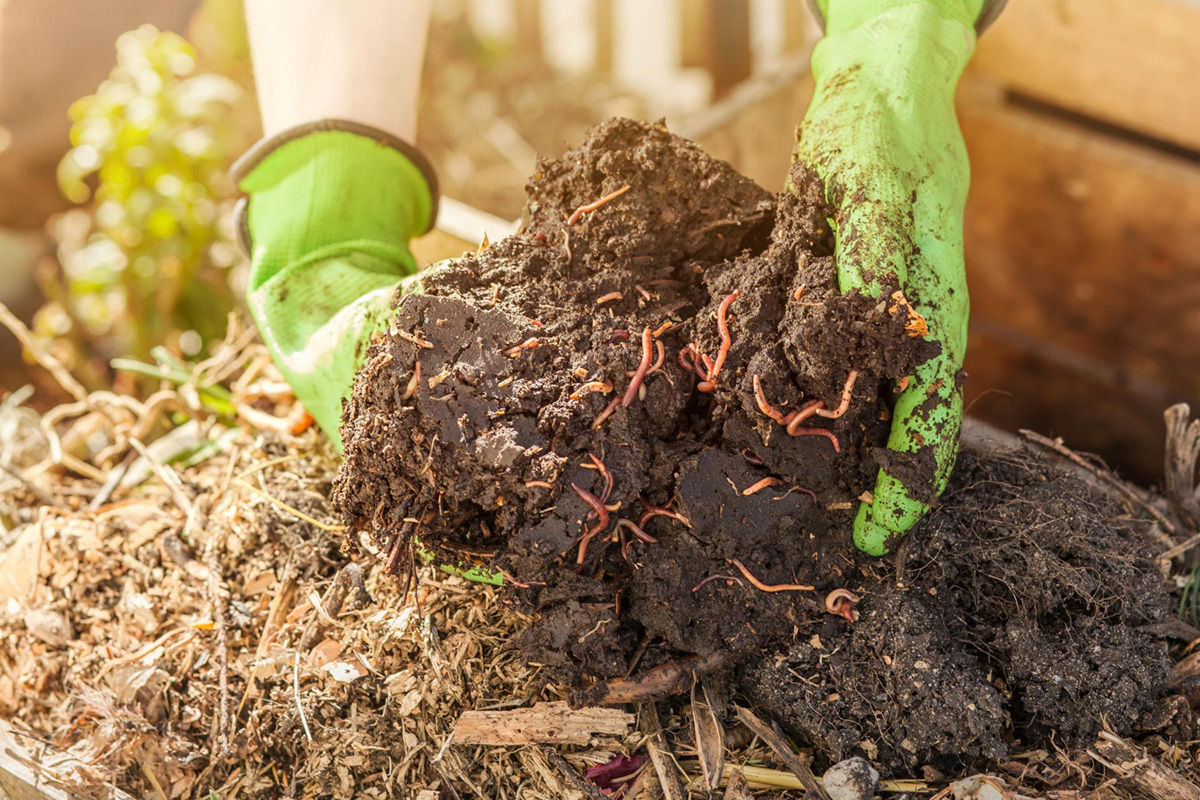 Creating Organic Compost