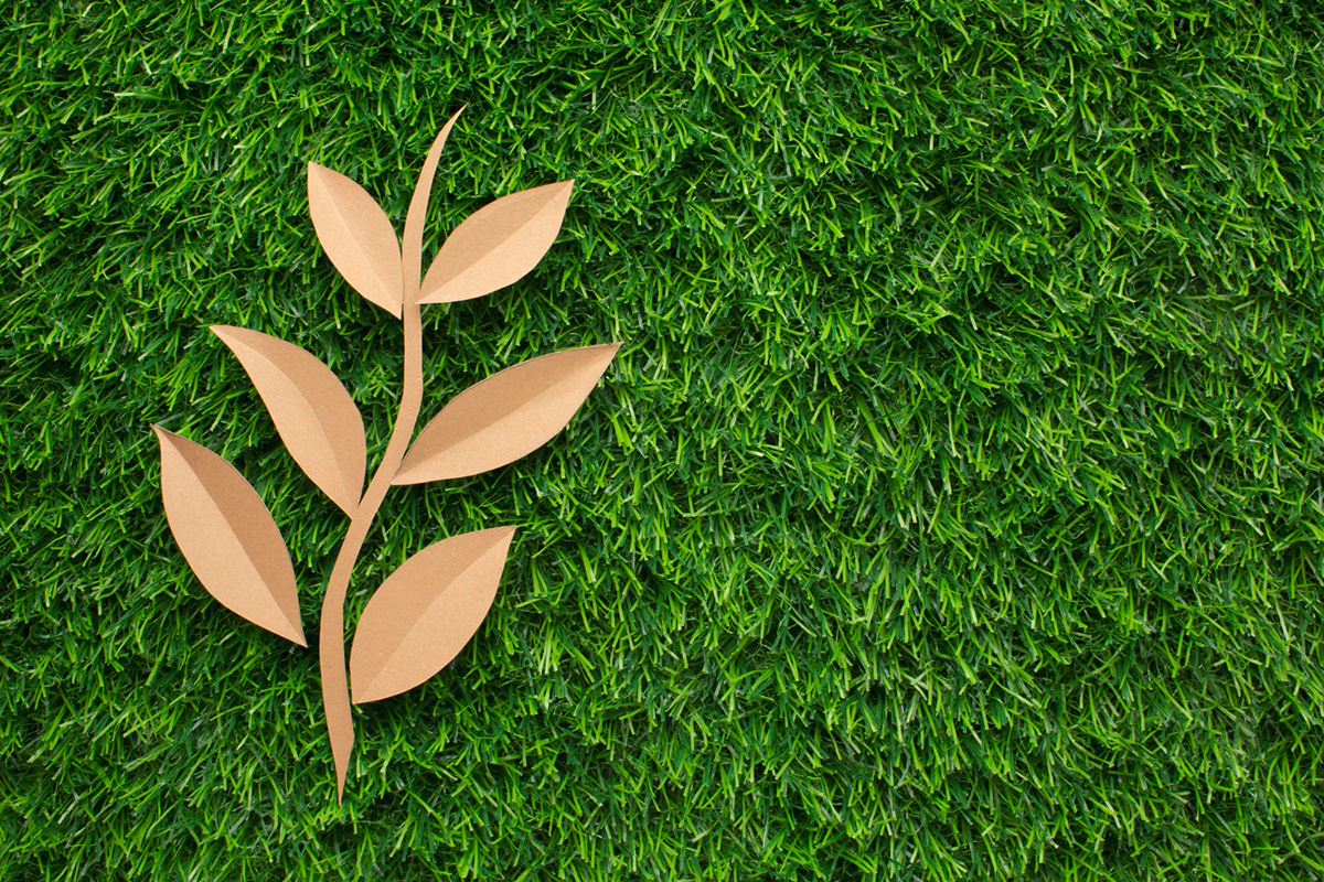 A Guide to Removing Weeds from Your Artificial Grass