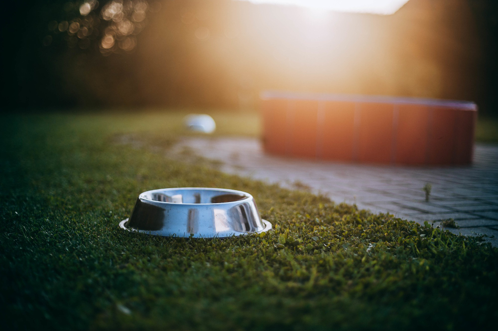 The Advantages of Using Artificial Turf in Dog Parks