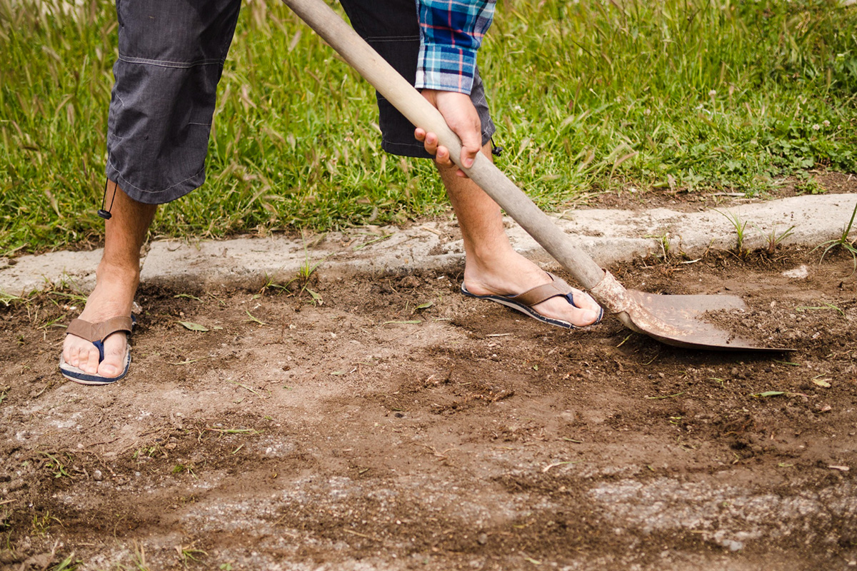 Common Reasons for Sod Removal