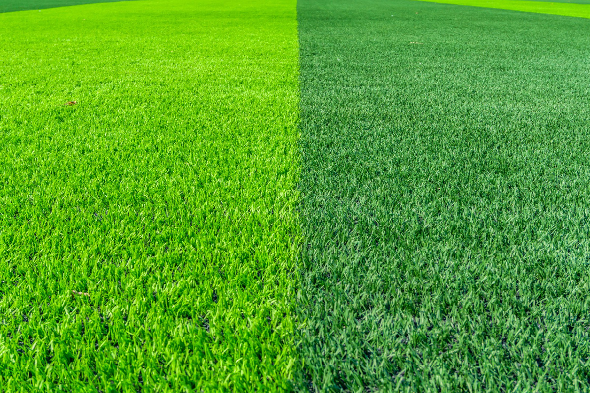 Artificial Grass vs. Real Grass: Which One Should You Choose?