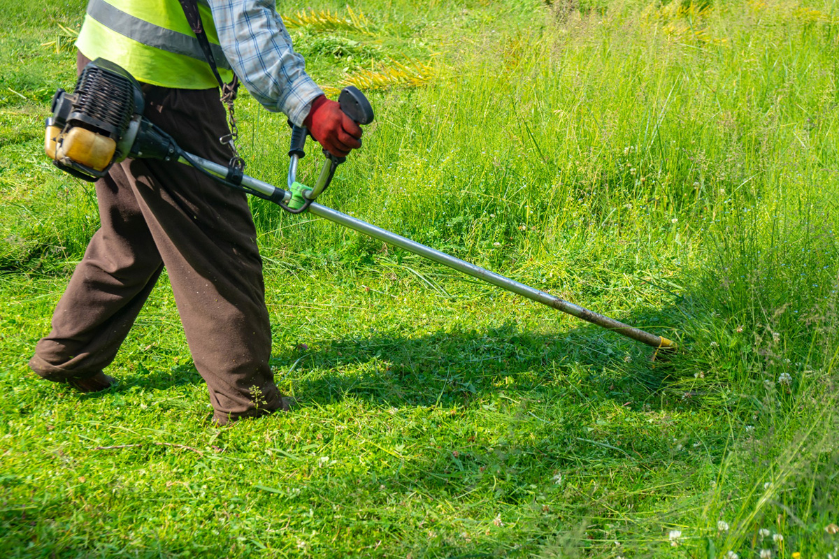 Composting Your Grass Clippings: Methods and Benefits