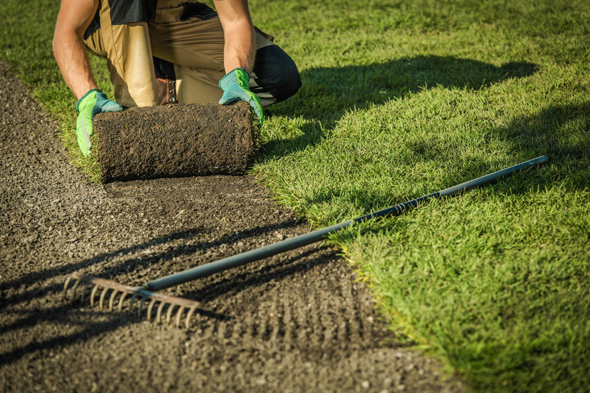 Guide to Laying Grass Sod: Simplified Steps for a Successful Installation