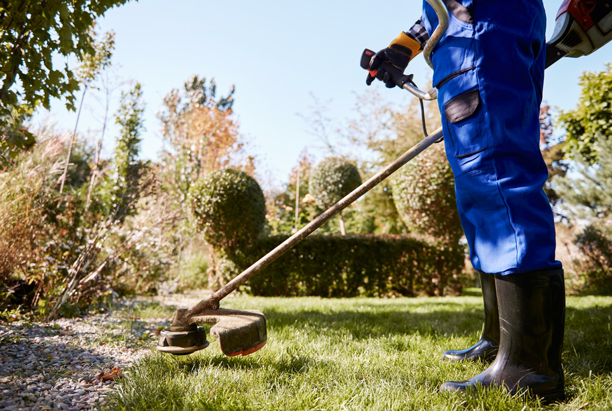 Finding the Right Lawn Care Professional
