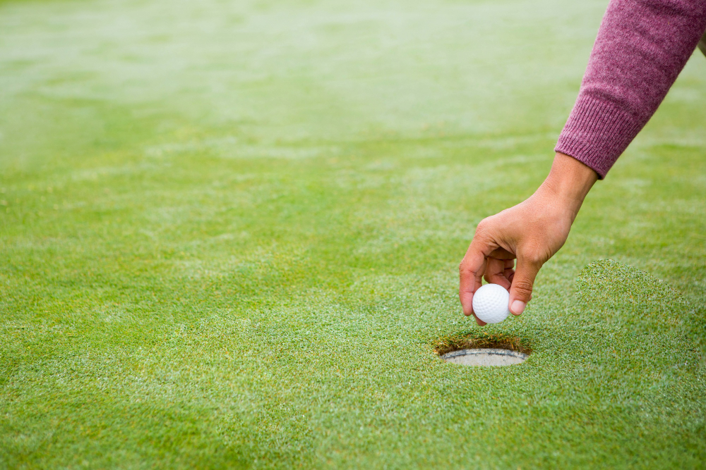Synthetic Putting Green Turf Landscaping Ideas