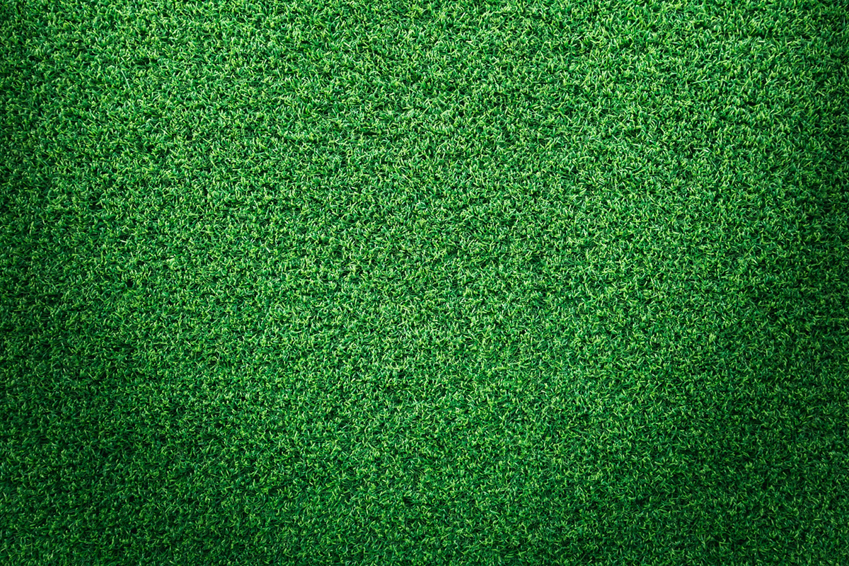 Benefits of Synthetic Turf Grass