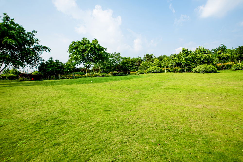 The Surprising Benefits of Choosing Turf