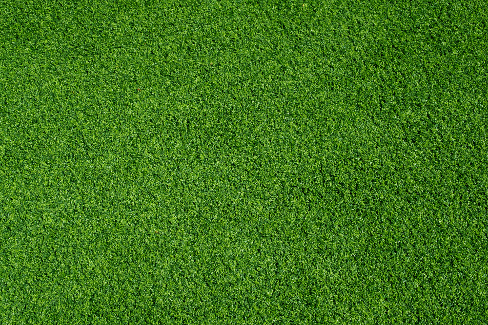 Why Sand Infill for Artificial Grass is Better
