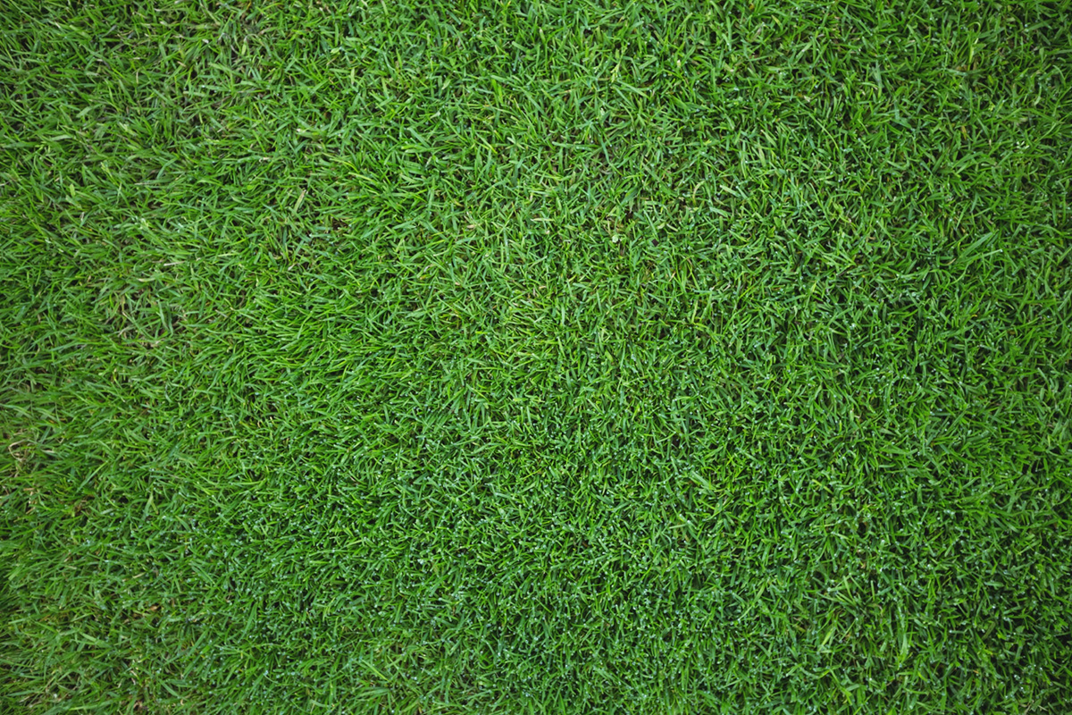 Tips for Infilling Synthetic Turf Grass