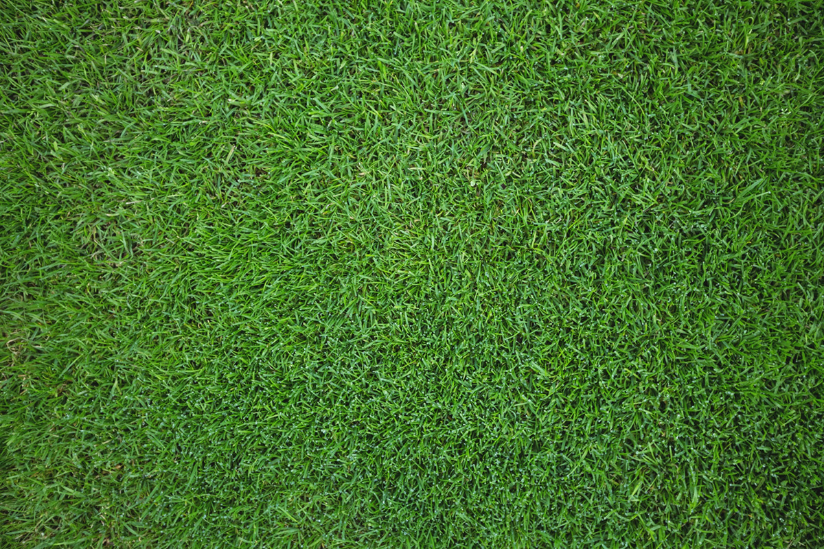 Tips for Infilling Synthetic Turf Grass