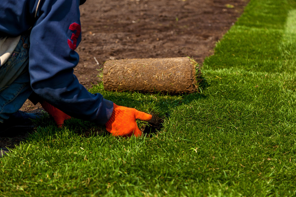 Common Mistakes When You Lay Sod