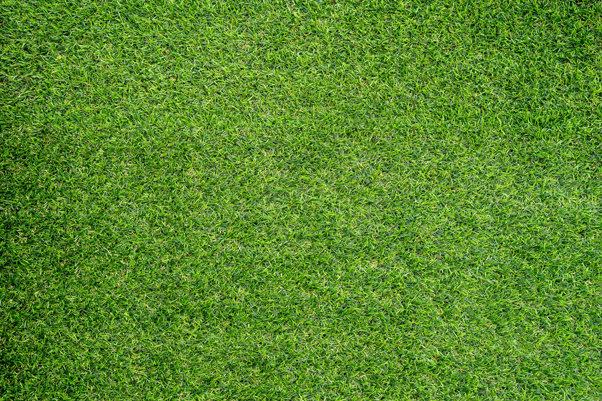 Tips and Tricks for Building Your Own Chipping Green at Home