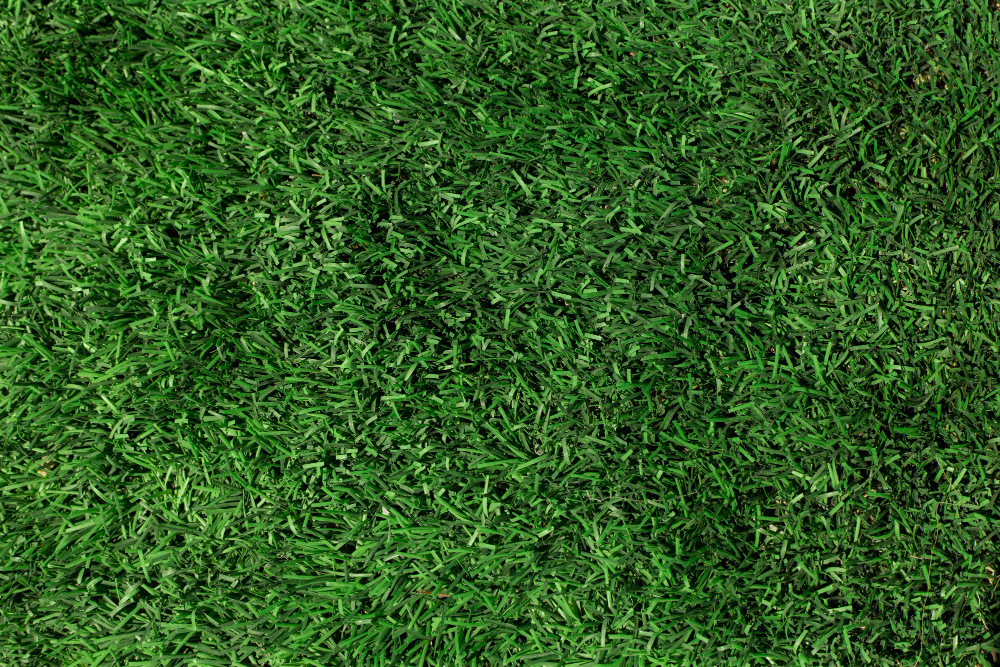 Things to Look for In A Landscaping Professional