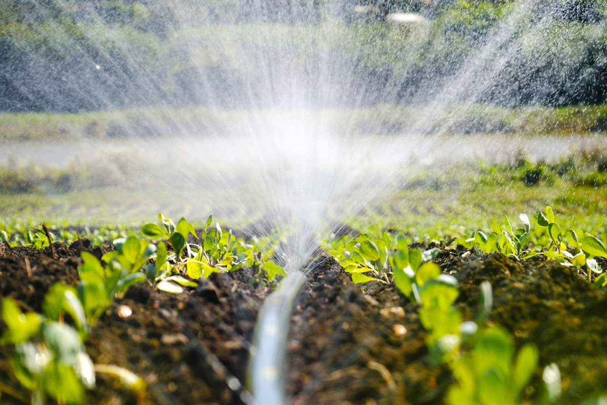 Irrigation Systems