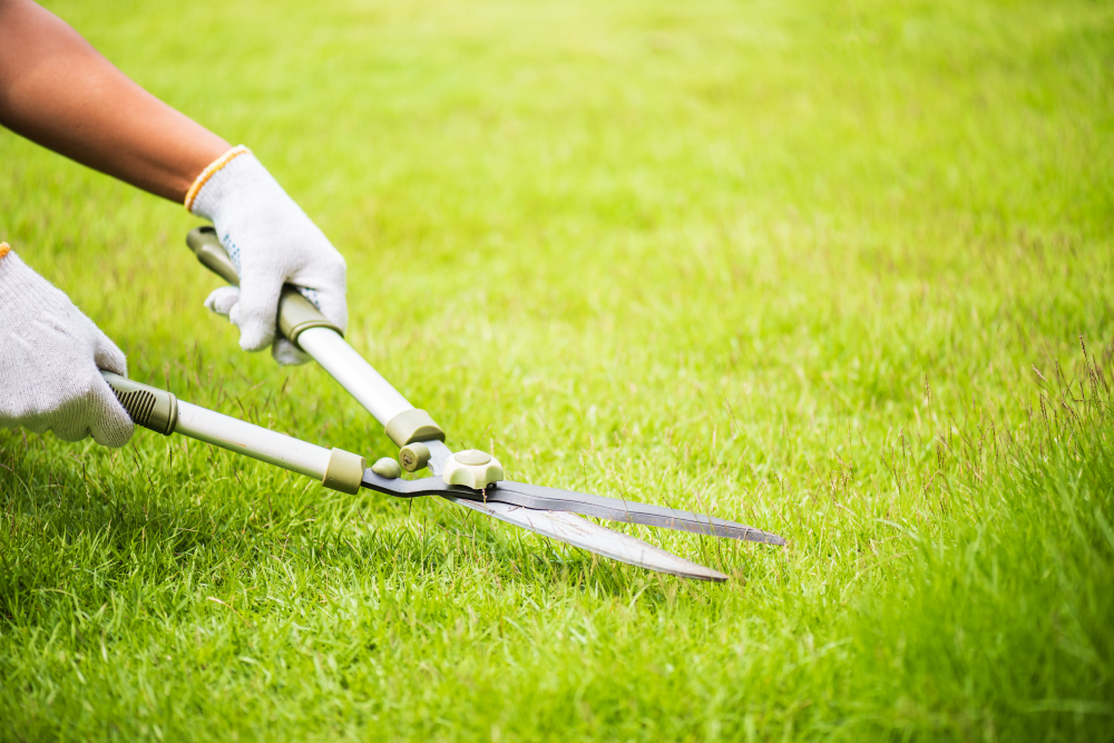 Essential Lawn Care Tasks to Tackle Before the Year Ends