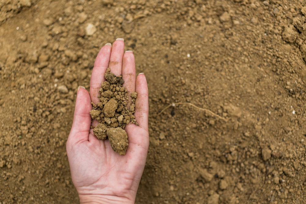 Tips for Installing Sod on Clay Soil