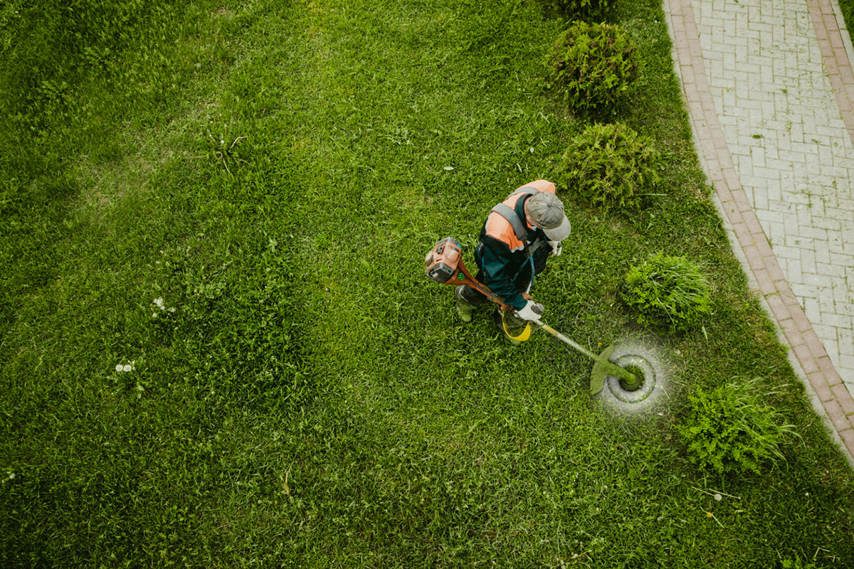 How to Properly Maintain a Lawn in Orlando