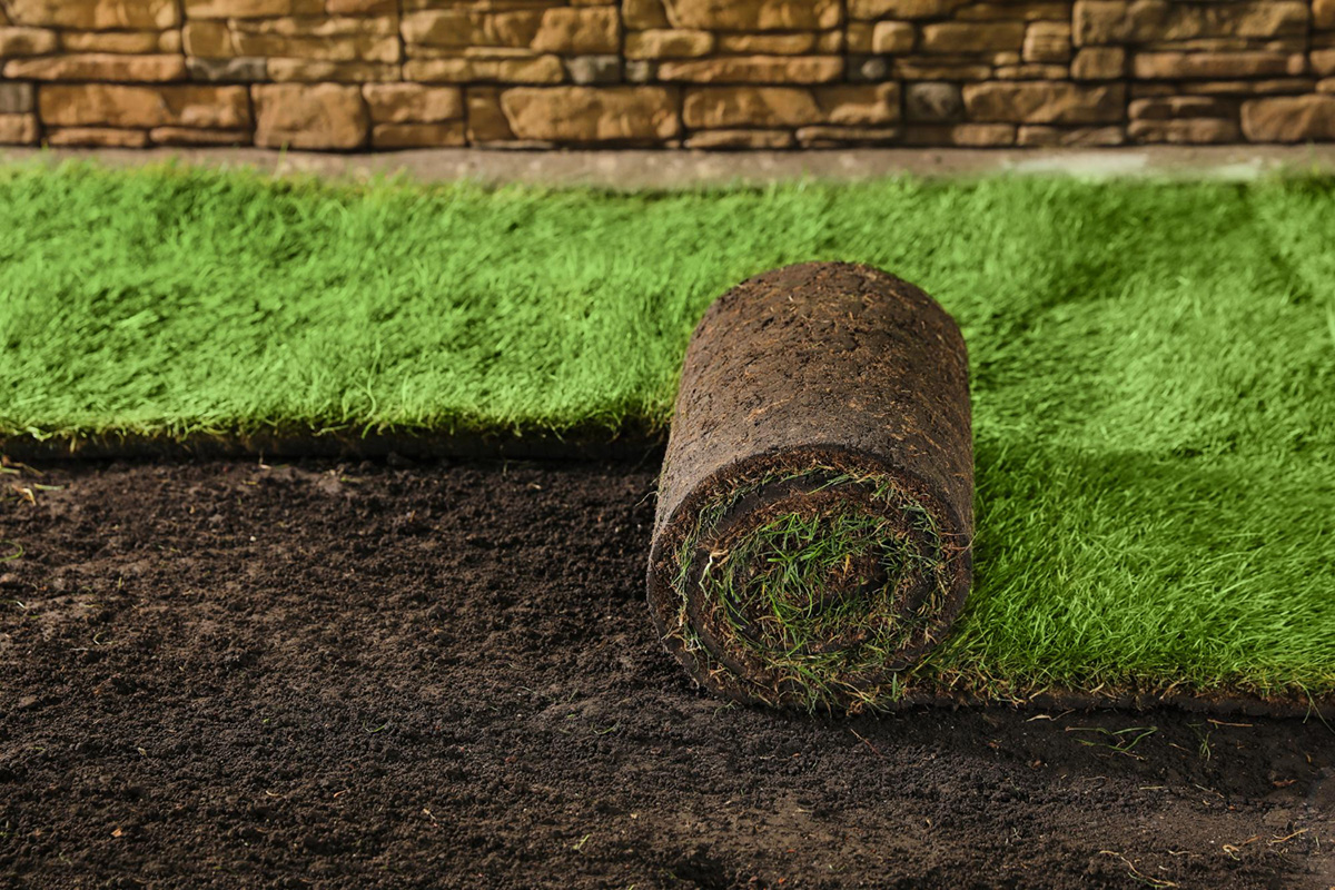 Newly Installed Sod: A Guide to Proper Care
