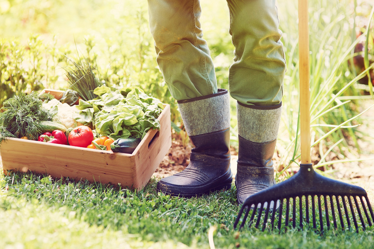 Organic Gardening