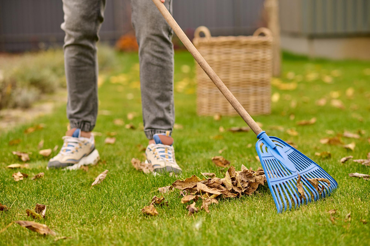 A Comprehensive Guide to Lawn Cleaning