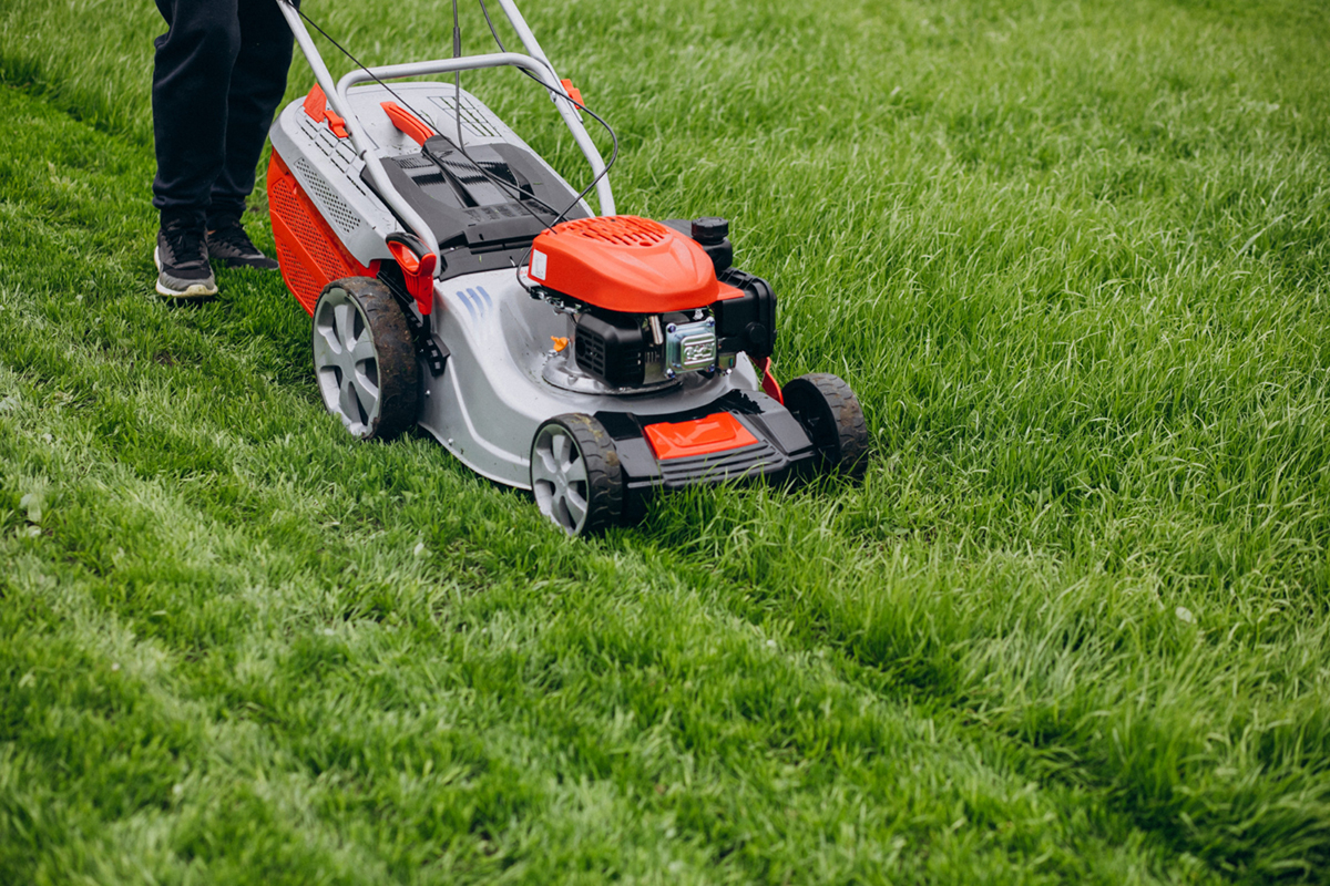 Tips to Get the Perfect Level Cut for Your Lawn