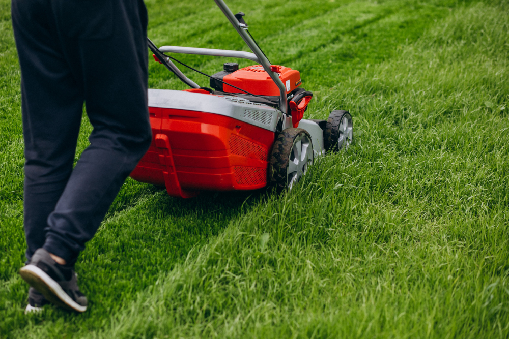 When Is It Time to Mow a New Sod Lawn?