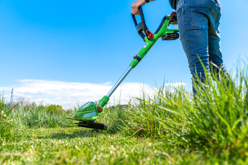 How to Keep Your Lawn Green Without Harsh Chemicals