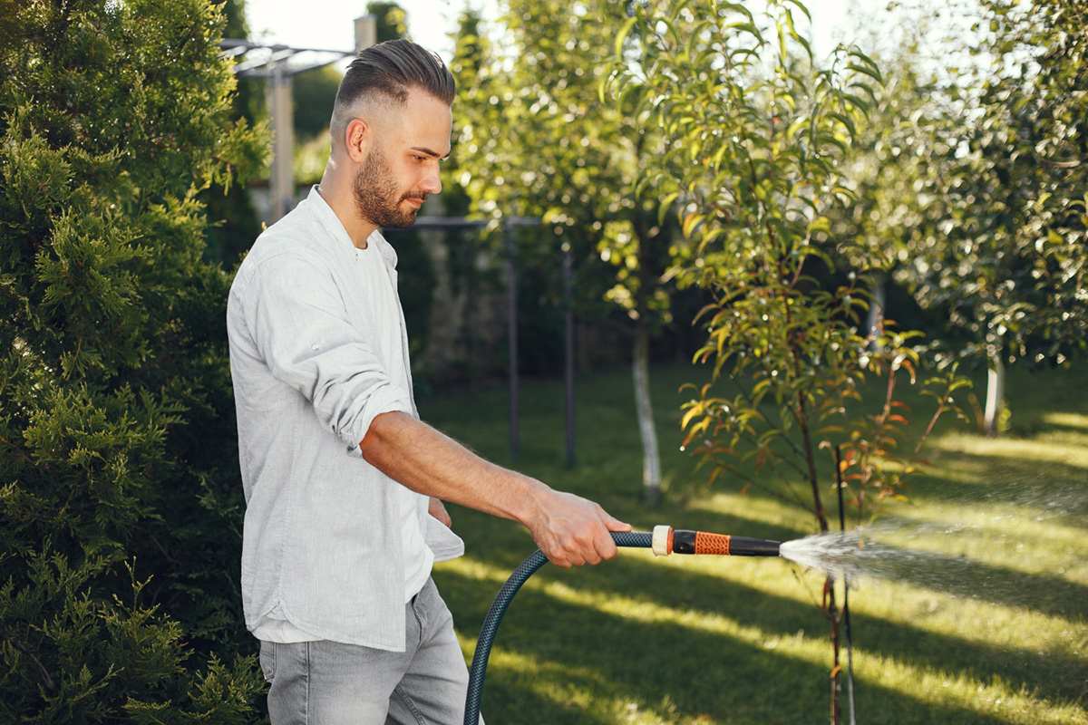 Lawn Watering Guide and Questions