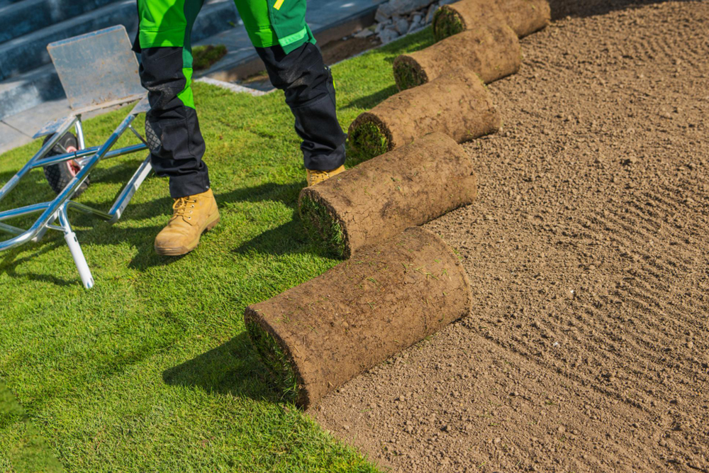 Factors to Consider When Choosing Sod for Your Lawn