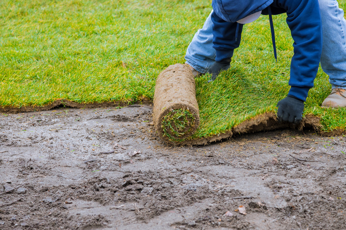 How to Find The Perfect Sod Installer Contractor