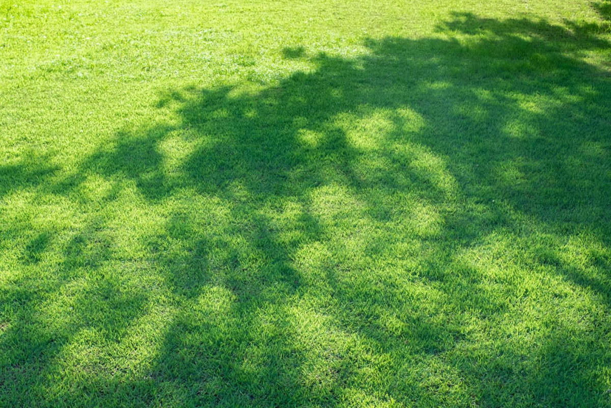 High Heat Precautions for Artificial Grass Turf Lawns