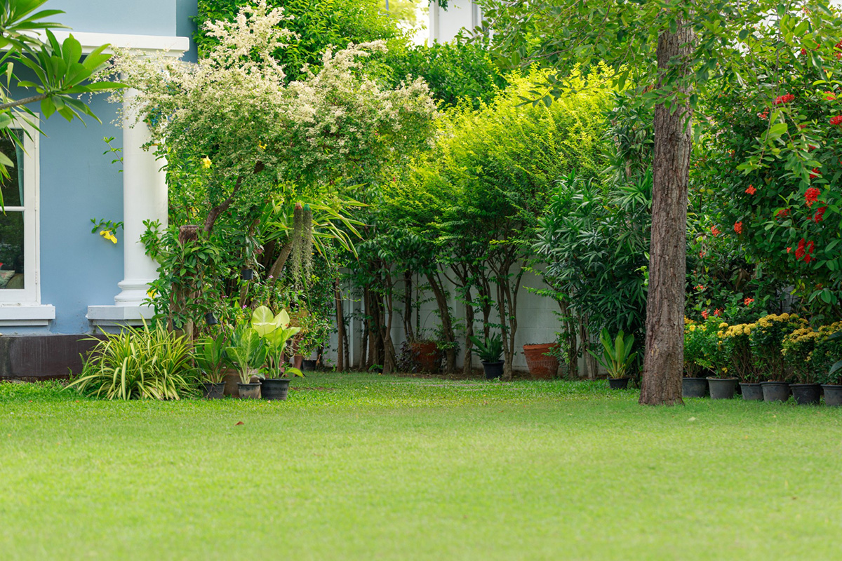 When is the Best Time to Fertilize Your Lawn?