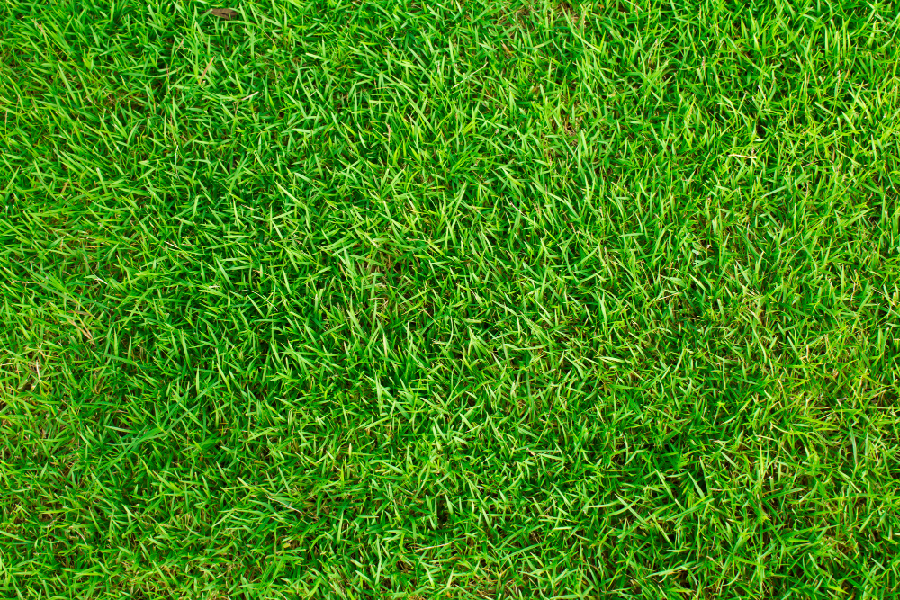 What is the Most Realistic Artificial Grass to Install?