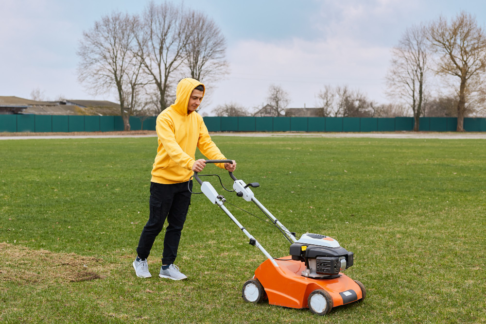 Keep Your Lawn Healthy This Winter