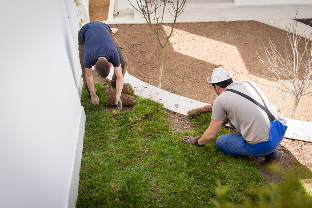 The Top Benefits of Professional Sod Installation