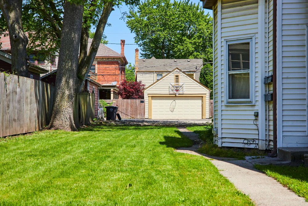 Finding the Right Type of Grass for Your Lawn