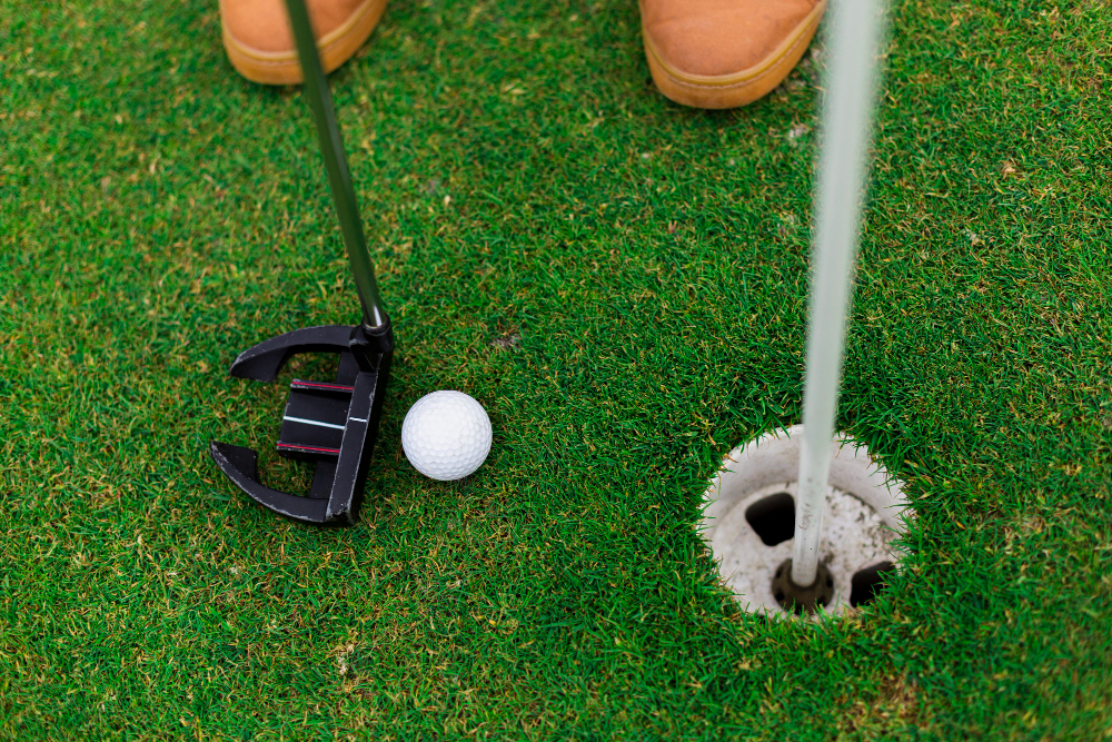 The Ultimate Backyard Putting Green Guide for Florida Residents