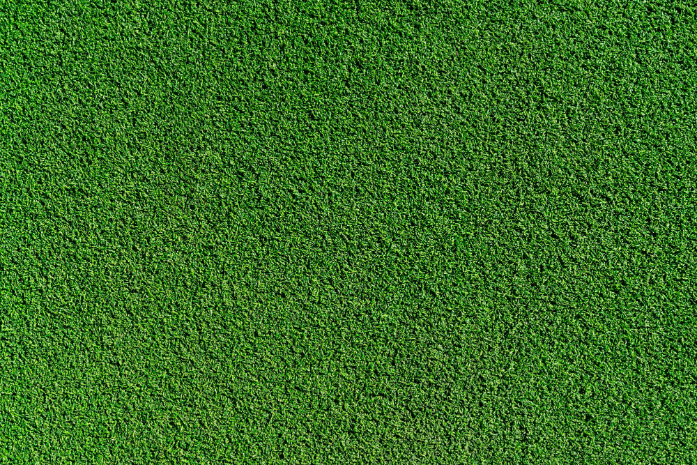 Is Synthetic Grass Right for You? A Comprehensive Guide