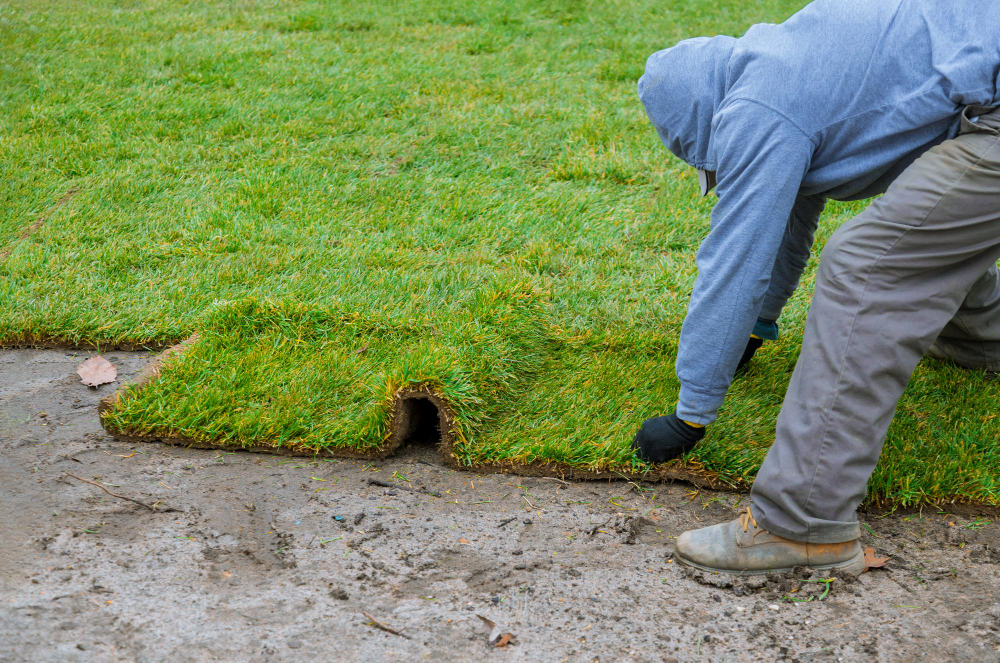 The Ultimate Guide to Preparing Your Yard for Sod Installation