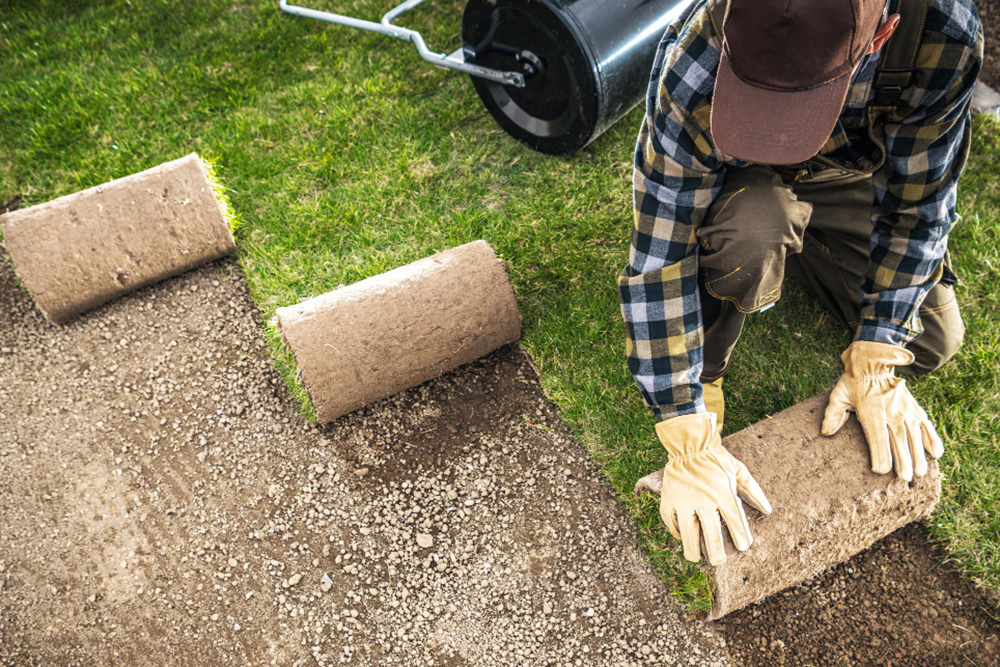 A Guide to Installing Sod in Orlando, FL