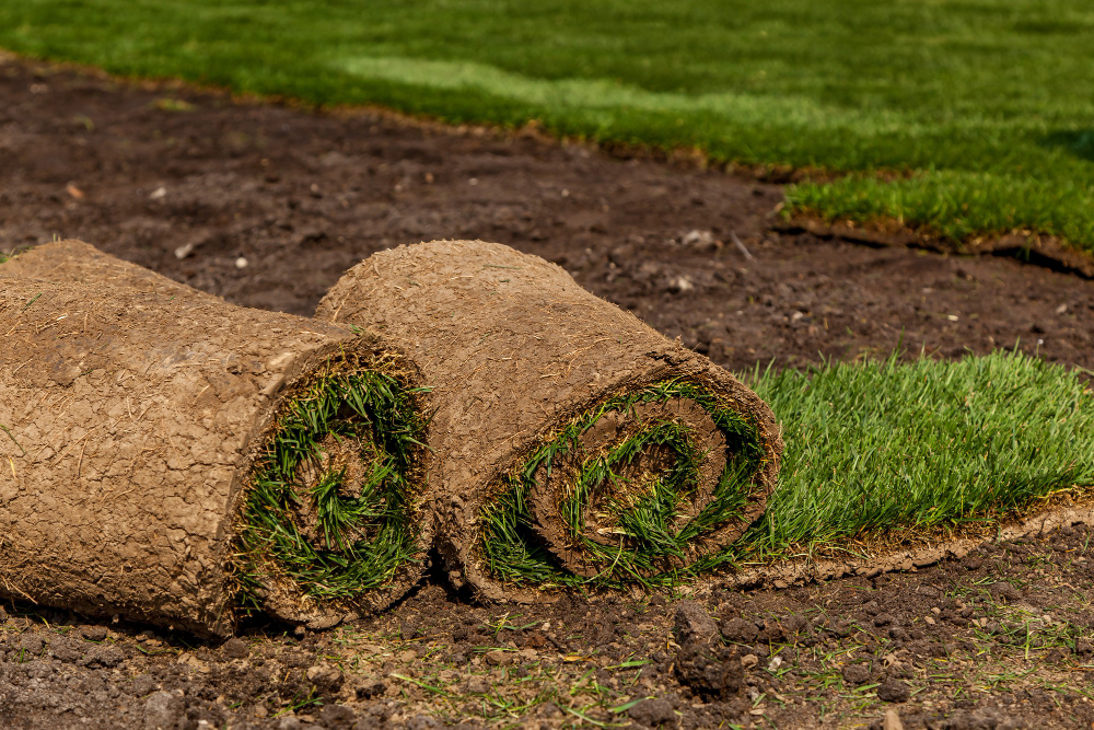 7 Essential Tips to Elevate Your Sod Installation