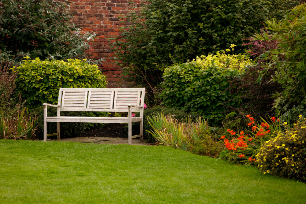 Essential Tips for Sod Removal and Beyond To Transform Your Backyard