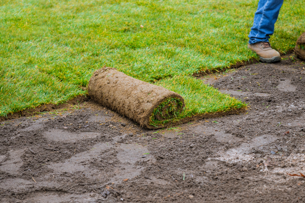 Understanding the Need for Laying New Sod